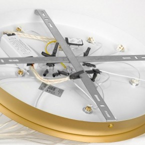Подвесной светильник Lussole Hopkins LSP-7404 в Нытве - nytva.ok-mebel.com | фото 4