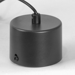 Подвесной светильник Lussole Milam LSP-7450 в Нытве - nytva.ok-mebel.com | фото 7