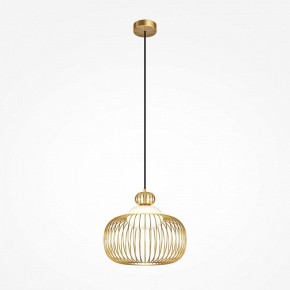 Подвесной светильник Maytoni Levitation MOD376PL-01G в Нытве - nytva.ok-mebel.com | фото 2