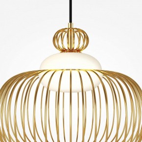 Подвесной светильник Maytoni Levitation MOD376PL-01G в Нытве - nytva.ok-mebel.com | фото 6