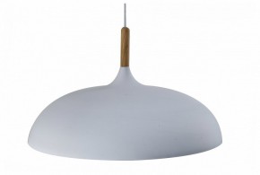 Подвесной светильник Moderli Hygo V11447-1P в Нытве - nytva.ok-mebel.com | фото