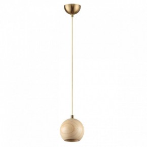 Подвесной светильник Odeon Light Caucho 7061/1 в Нытве - nytva.ok-mebel.com | фото 6