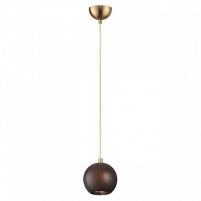 Подвесной светильник Odeon Light Caucho 7062/1 в Нытве - nytva.ok-mebel.com | фото 4