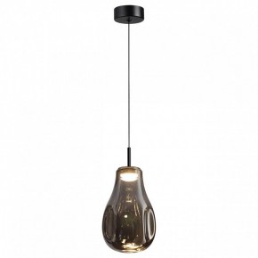 Подвесной светильник Odeon Light Nave 5098/4LC в Нытве - nytva.ok-mebel.com | фото 2