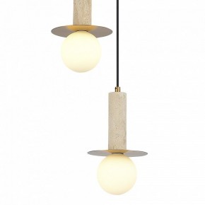Подвесной светильник ST-Luce Earthy SL1194.303.03 в Нытве - nytva.ok-mebel.com | фото 4