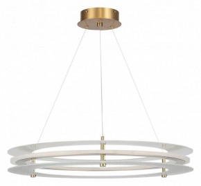 Подвесной светильник ST-Luce FAGY SL6245.203.01 в Нытве - nytva.ok-mebel.com | фото 3