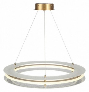 Подвесной светильник ST-Luce FAGY SL6245.203.01 в Нытве - nytva.ok-mebel.com | фото 4