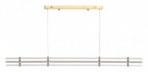 Подвесной светильник ST-Luce FAGY SL6245.223.01 в Нытве - nytva.ok-mebel.com | фото 3
