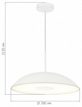 Подвесной светильник ST-Luce Lido SL6128.503.01 в Нытве - nytva.ok-mebel.com | фото 4