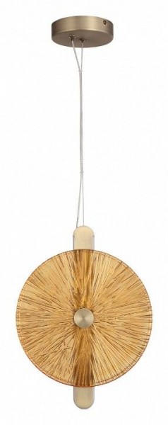 Подвесной светильник ST-Luce WASI SL6141.313.01 в Нытве - nytva.ok-mebel.com | фото 3
