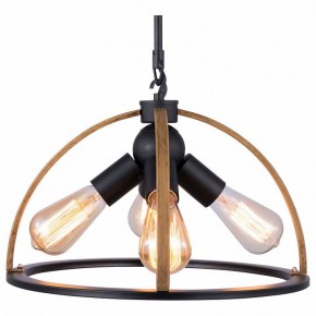 Подвесной светильник TopLight Jasmin TL1179H-04BK в Нытве - nytva.ok-mebel.com | фото