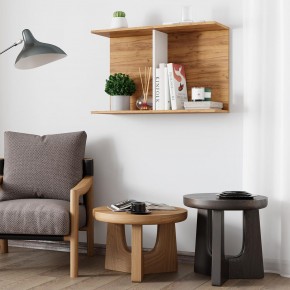 Полка Ион-3 (крафт/белый) в Нытве - nytva.ok-mebel.com | фото 3