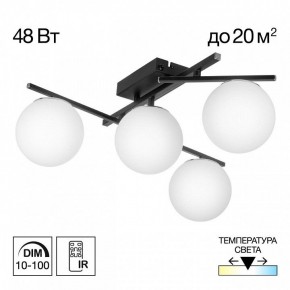 Потолочная люстра Citilux Dorsy CL223142 в Нытве - nytva.ok-mebel.com | фото 9
