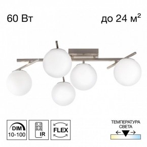 Потолочная люстра Citilux Dorsy CL223151 в Нытве - nytva.ok-mebel.com | фото 2