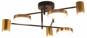 Потолочная люстра Kink Light Рапис 07645-6D,19(20) в Нытве - nytva.ok-mebel.com | фото