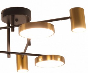 Потолочная люстра Kink Light Рапис 07645-6D,19(20) в Нытве - nytva.ok-mebel.com | фото 2