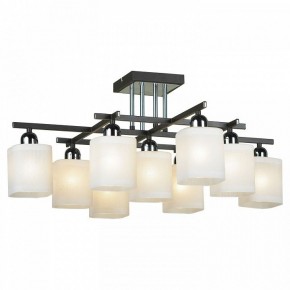 Потолочная люстра Lussole Costanzo LSL-9007-09 в Нытве - nytva.ok-mebel.com | фото 2