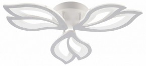 Потолочная люстра Natali Kovaltseva FORTUNA LED LAMPS 81107/2C в Нытве - nytva.ok-mebel.com | фото