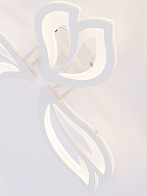 Потолочная люстра Natali Kovaltseva FORTUNA LED LAMPS 81107/2C в Нытве - nytva.ok-mebel.com | фото 11