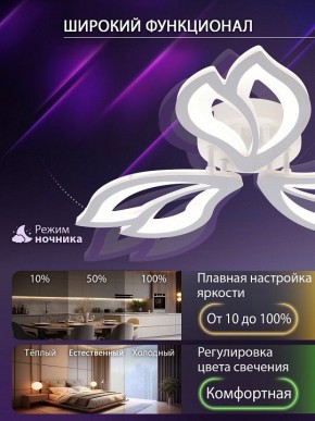 Потолочная люстра Natali Kovaltseva FORTUNA LED LAMPS 81107/2C в Нытве - nytva.ok-mebel.com | фото 5