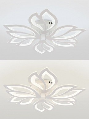 Потолочная люстра Natali Kovaltseva FORTUNA LED LAMPS 81107/6C в Нытве - nytva.ok-mebel.com | фото 4