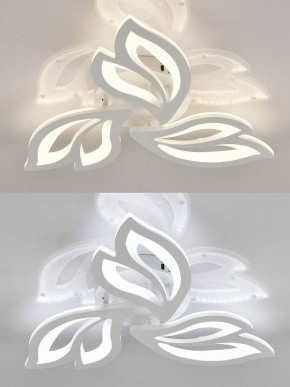 Потолочная люстра Natali Kovaltseva  LED LAMPS 81426 в Нытве - nytva.ok-mebel.com | фото 4