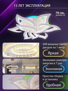 Потолочная люстра Natali Kovaltseva OLIMP LED LAMPS 81435 в Нытве - nytva.ok-mebel.com | фото 5