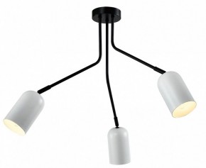 Потолочная люстра Rivoli Rosalinda Б0064987 в Нытве - nytva.ok-mebel.com | фото 2