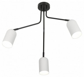 Потолочная люстра Rivoli Rosalinda Б0064987 в Нытве - nytva.ok-mebel.com | фото 4