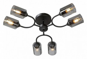Потолочная люстра Vitaluce V2823 V2823-1/6PL в Нытве - nytva.ok-mebel.com | фото 2