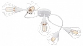 Потолочная люстра Vitaluce V3037 V3037-0/5PL в Нытве - nytva.ok-mebel.com | фото