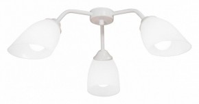 Потолочная люстра Vitaluce V31950 V31950/3PL в Нытве - nytva.ok-mebel.com | фото