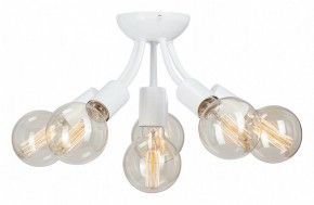 Потолочная люстра Vitaluce V3927 V3927-0/6PL в Нытве - nytva.ok-mebel.com | фото