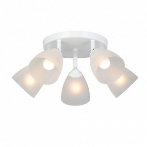 Потолочная люстра Vitaluce V4355 V4355-0/5PL в Нытве - nytva.ok-mebel.com | фото 2