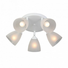 Потолочная люстра Vitaluce V4355 V4355-0/5PL в Нытве - nytva.ok-mebel.com | фото 3