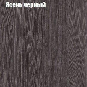 Прихожая ДИАНА-4 сек №10 (Ясень анкор/Дуб эльза) в Нытве - nytva.ok-mebel.com | фото 3