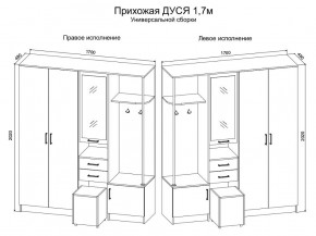 Прихожая Дуся 1.7 УНИ (Дуб Бунратти/Белый Бриллиант) в Нытве - nytva.ok-mebel.com | фото 2