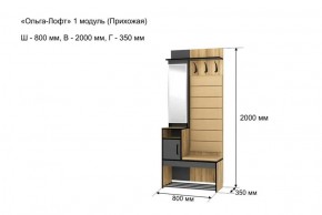 Прихожая "Ольга-Лофт 1" в Нытве - nytva.ok-mebel.com | фото 4