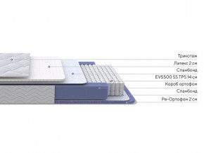 PROxSON Матрас Active Duo S/F (Ткань Трикотаж Эко) 80x190 в Нытве - nytva.ok-mebel.com | фото 2
