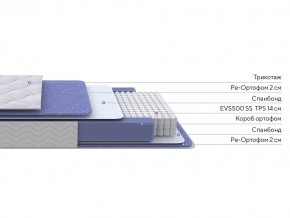 PROxSON Матрас Active F (Ткань Трикотаж Эко) 80x190 в Нытве - nytva.ok-mebel.com | фото 2