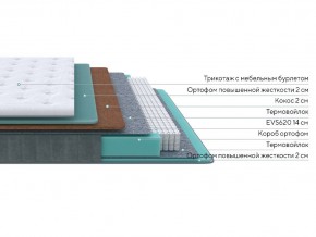 PROxSON Матрас Grace Firm (Трикотаж Prestige Latte) 80x220 в Нытве - nytva.ok-mebel.com | фото 2