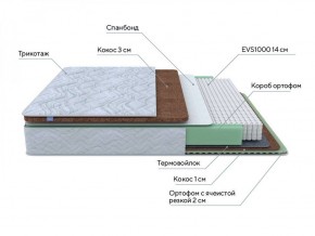 PROxSON Матрас Green Duo M/F (Tricotage Dream) 120x190 в Нытве - nytva.ok-mebel.com | фото 7