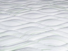 PROxSON Матрас Green F (Tricotage Dream) 160x190 в Нытве - nytva.ok-mebel.com | фото 9