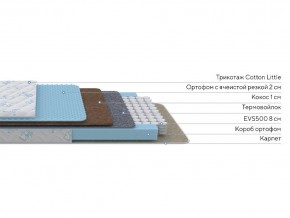 PROxSON Матрас Совенок (Cotton Little PROSON) 120x120 в Нытве - nytva.ok-mebel.com | фото 2