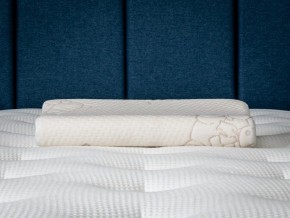 PROxSON Подушка Кроха (Ткань Трикотаж) 39x24 в Нытве - nytva.ok-mebel.com | фото 6