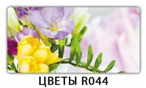 Раздвижной СТ Бриз орхидея R041 Доска D110 в Нытве - nytva.ok-mebel.com | фото 12