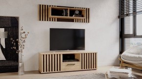 РОНИ Гостиная в Нытве - nytva.ok-mebel.com | фото