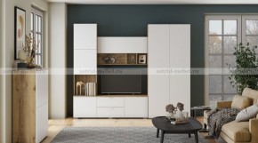 МИЛАН-1 Секция ТВ (ЦРК.МЛН.01 секция ТВ) в Нытве - nytva.ok-mebel.com | фото 3