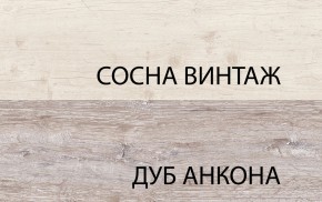 Шкаф 2D1S, MONAKO, цвет Сосна винтаж/дуб анкона в Нытве - nytva.ok-mebel.com | фото 1
