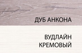 Шкаф 2DG, OLIVIA, цвет вудлайн крем/дуб анкона в Нытве - nytva.ok-mebel.com | фото 3